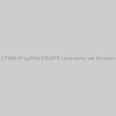 Image of CT45B1P sgRNA CRISPR Lentivector set (Human)